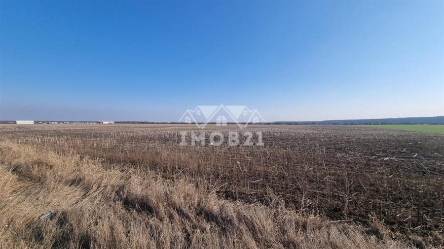 Teren Construcții extravilan de 11000 mp, în Ariceștii Rahtivani