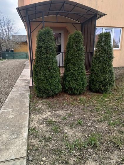Casă cu 4 camere în Vadu Moldovei