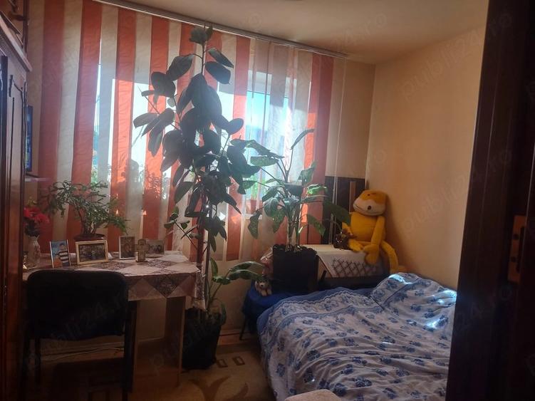 Garsonieră nedecomandată în Valea Rosie