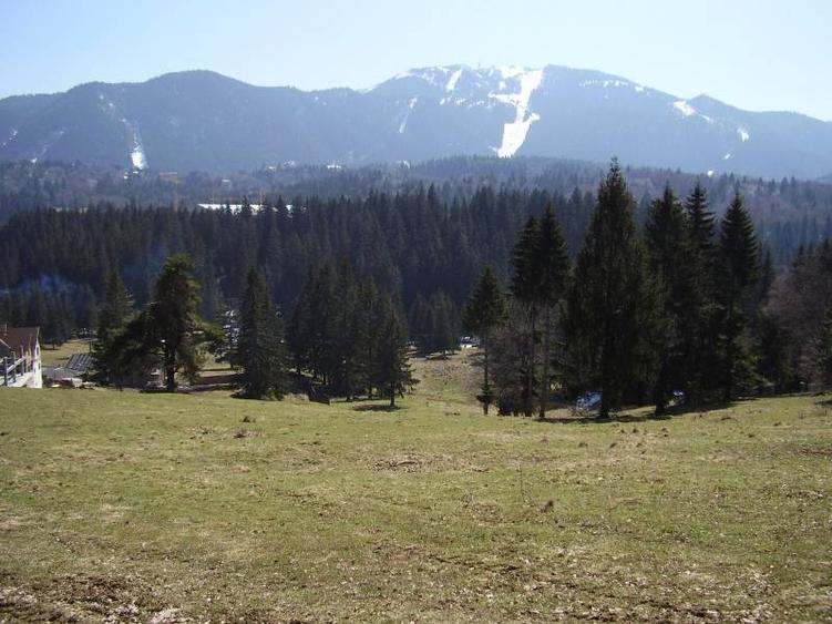 Teren intravilan de 3200 mp, în Poiana Brașov