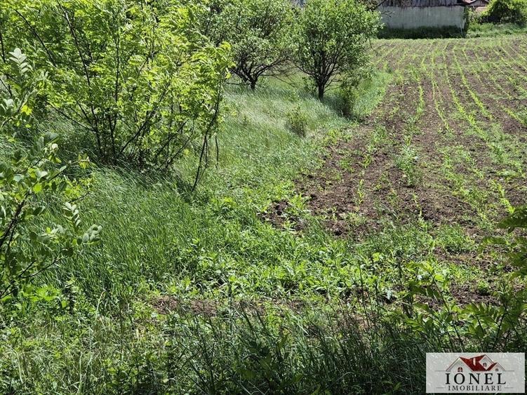 Teren Construcții intravilan de 1412 mp, în Sântimbru