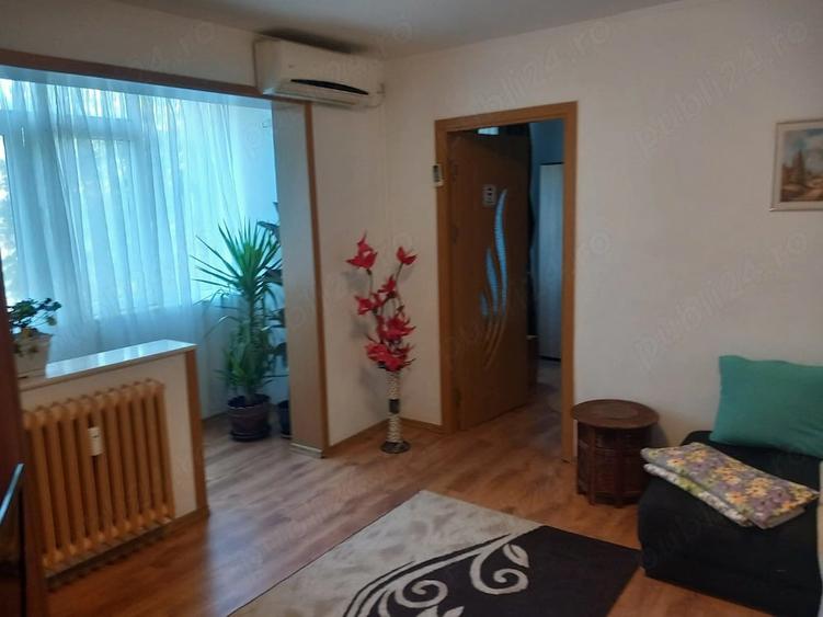 campus, 2 camere 350 euro luna - 4