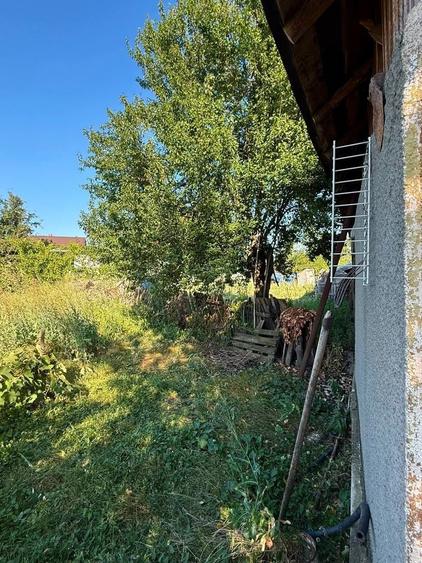 Casă cu 2 camere în Sârbeni