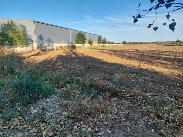 Teren de 2500 mp, în Moara Domnească