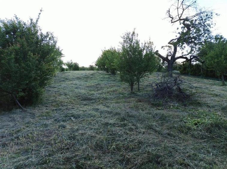 Teren Construcții intravilan de 1765 mp, în Podgoria