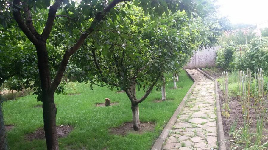 Casă cu 4 camere cu Teren 900 Mp în Central