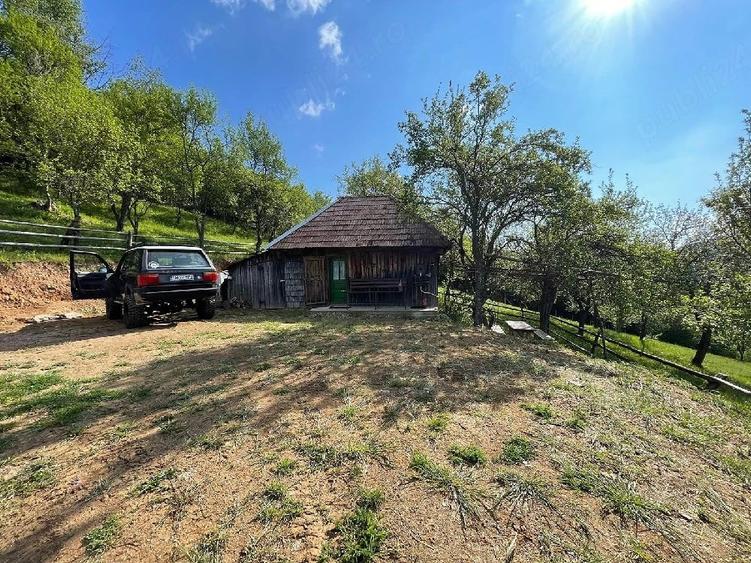Casă cu Teren 15000 Mp în Bătrâna