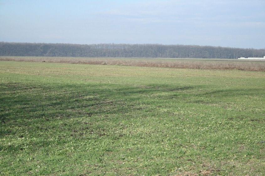 Teren agricol extravilan de 9200 mp, în Afumați