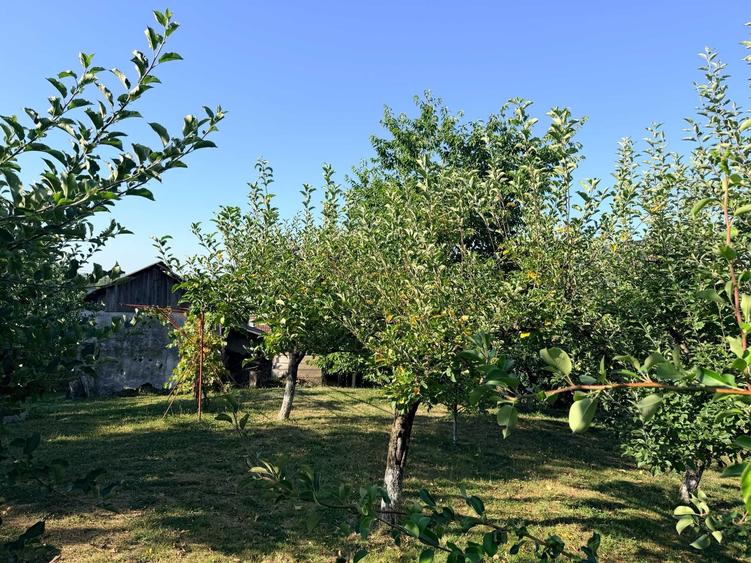 Casă cu 2 camere în Udești