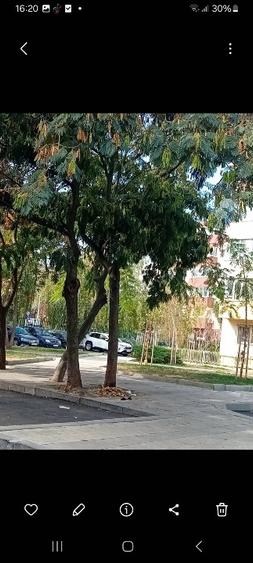 Apartament cu 4 camere decomandat în Doamna Ghica