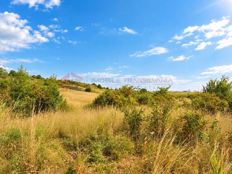 Teren Construcții intravilan de 3800 mp, în Pădureni (Chinteni)
