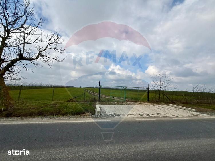 Teren de 60000 mp, în Săcele