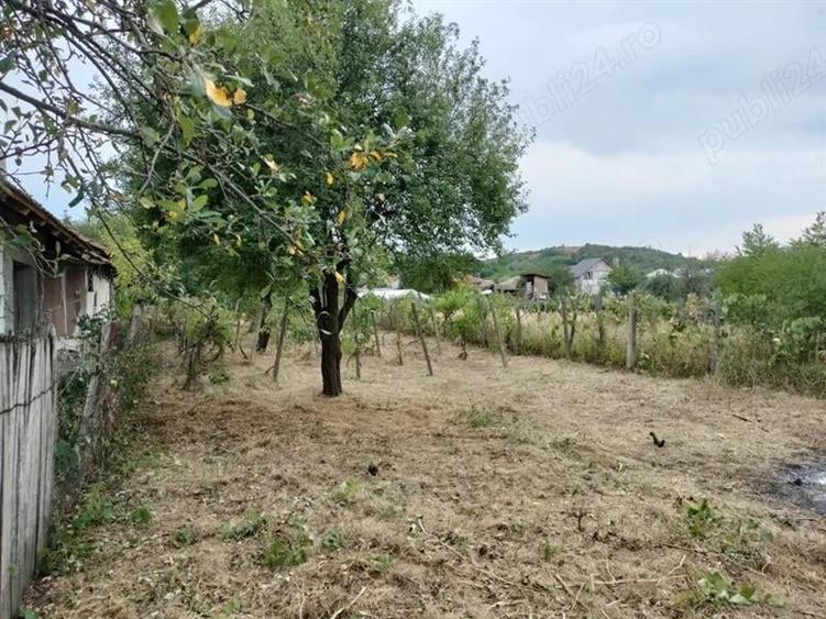 Casă individuală cu 3 camere cu Teren 1382 Mp în Scăești