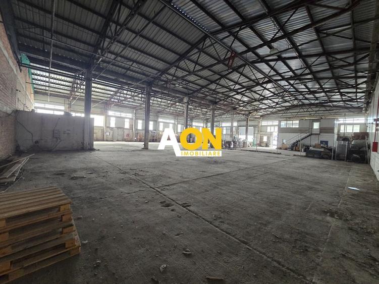 Spațiu industrial, de 900 mp, în Bărăbanț