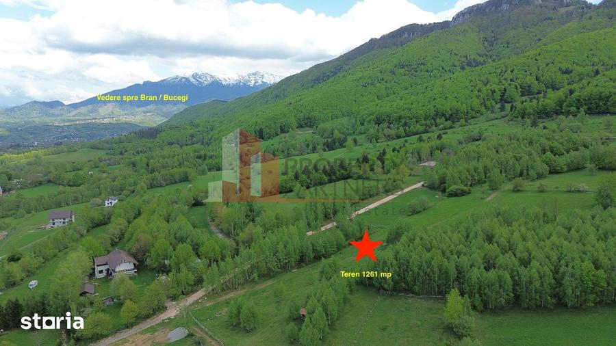Teren de 5261 mp, în Tohănița