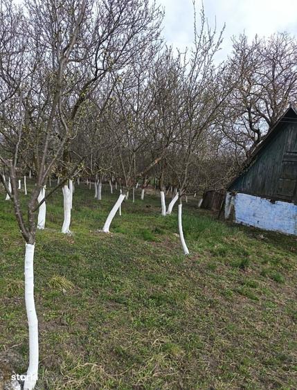 Casă cu 2 camere în Cehal