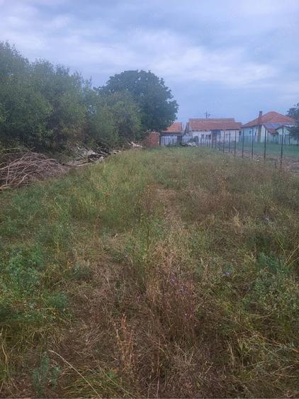 Casă cu 2 camere cu Teren 2000 Mp în Central