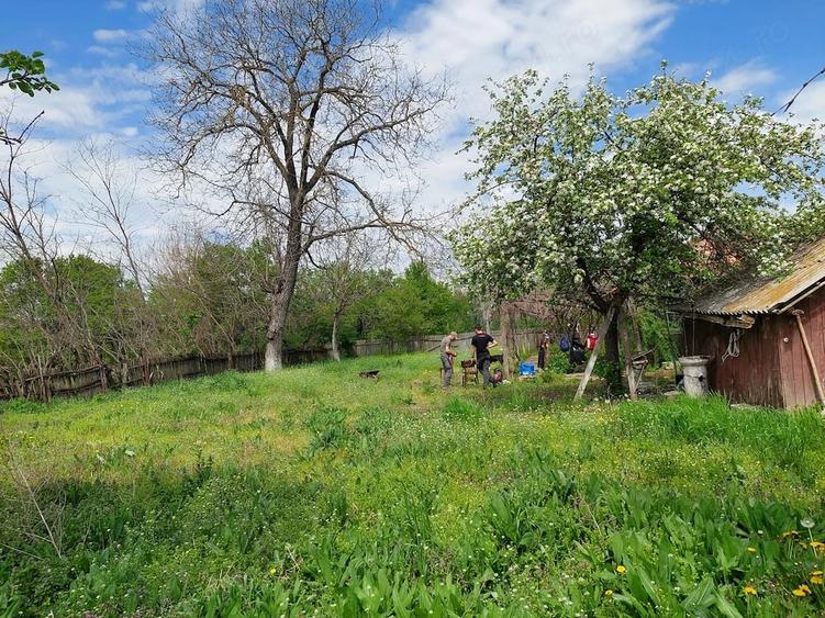 Casa cu teren 1280mp in Merii Petchii, Ilfov- oaza de liniste! - 6