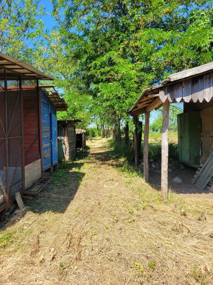 Teren de 2300 mp, în Livada
