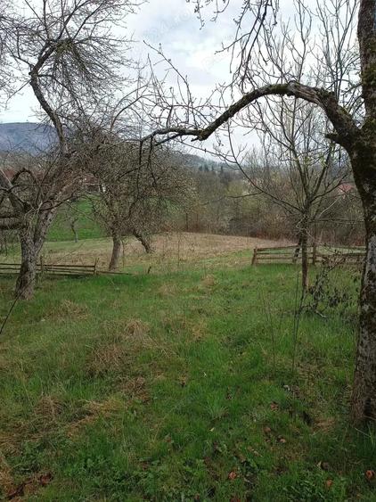 Casă cu 2 camere cu Teren 3000 Mp în Vârfurile
