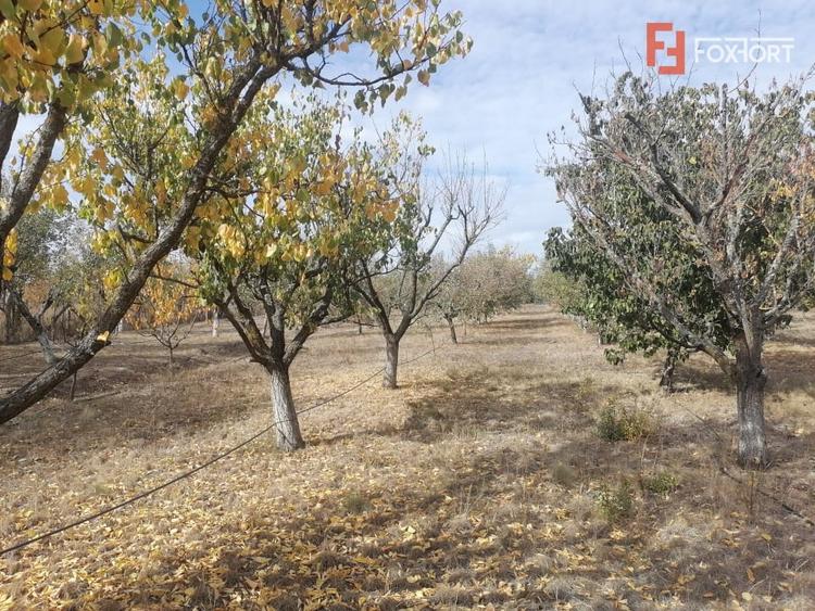 Casă individuală cu 7 camere cu Teren 4316 Mp în Bogda
