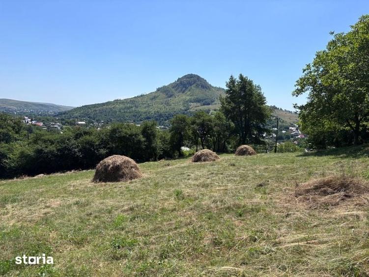 Teren de 5000 mp, în Gârcina