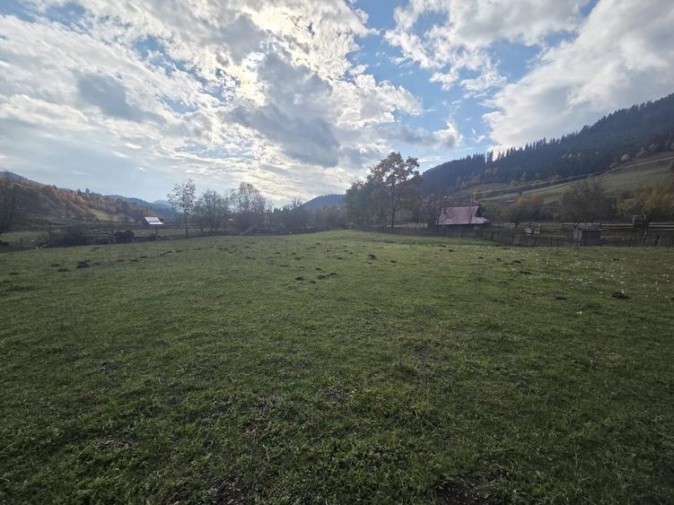 Teren de 2000 mp, în Stulpicani
