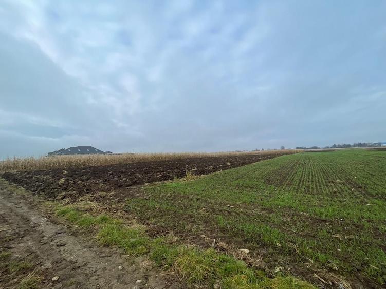 Teren agricol extravilan de 1300 mp, în Marginea