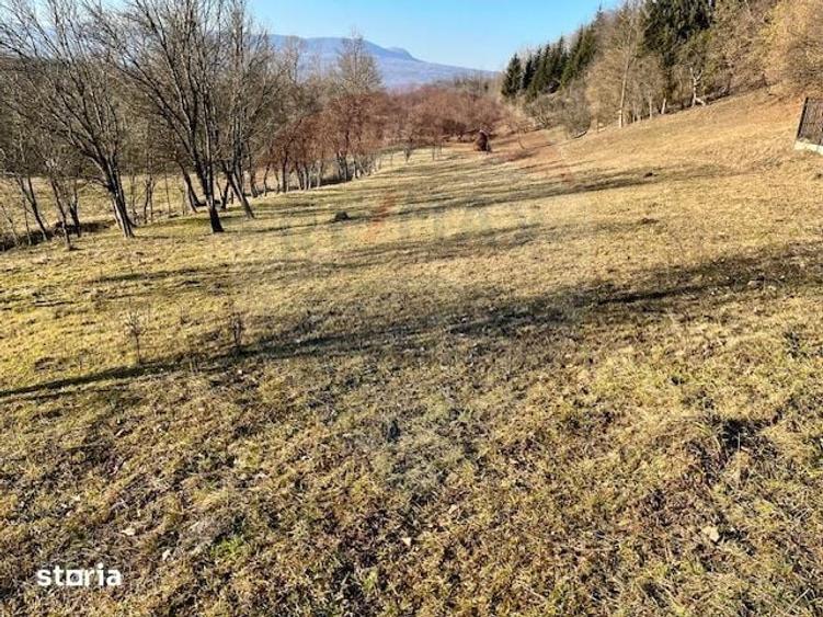Teren de 6900 mp, în Ocna Șugatag