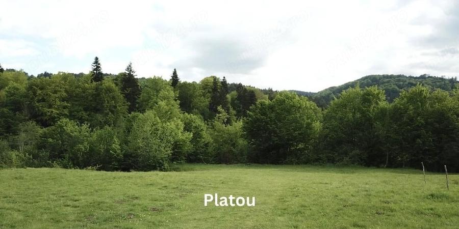Teren de 4000 mp, în Babarunca