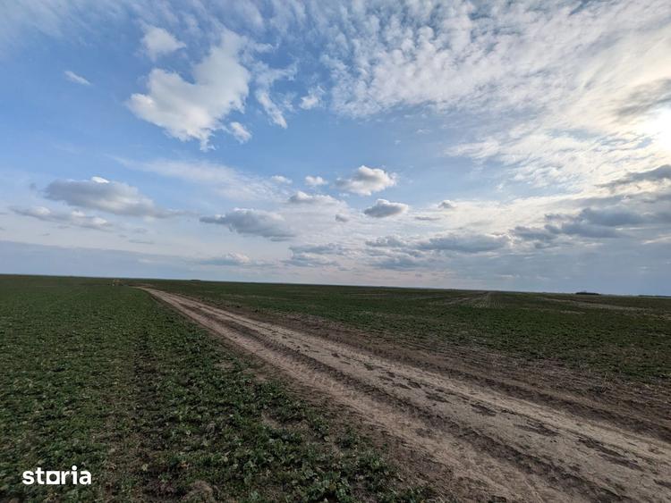 Teren de 300 mp, în Vărăști
