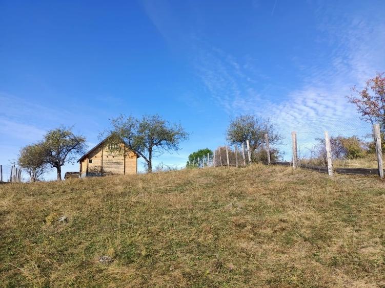 Teren Construcții intravilan de 1162 mp, în Jina