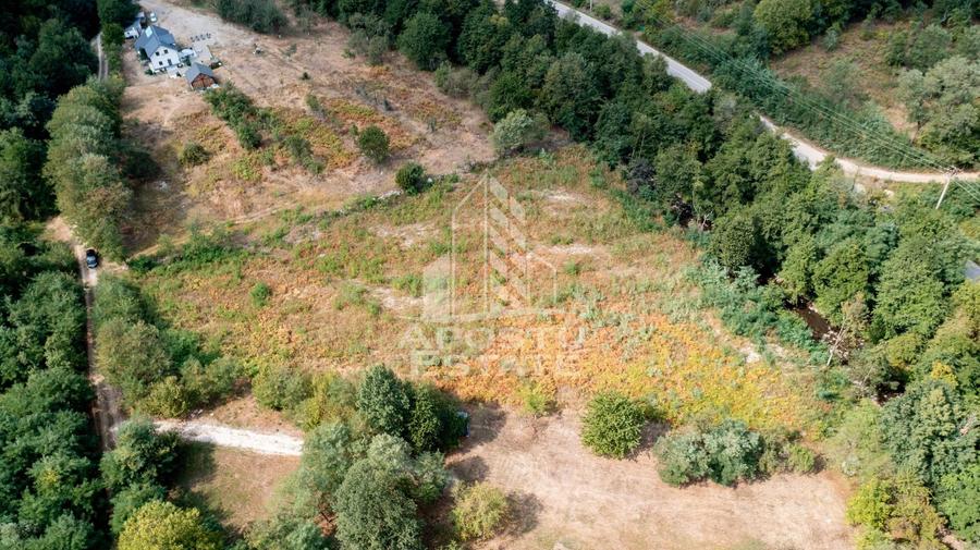 Teren agricol extravilan de 5000 mp, în Borlova