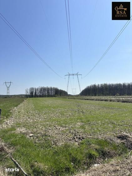 Teren de 4762 mp, în Stoilești