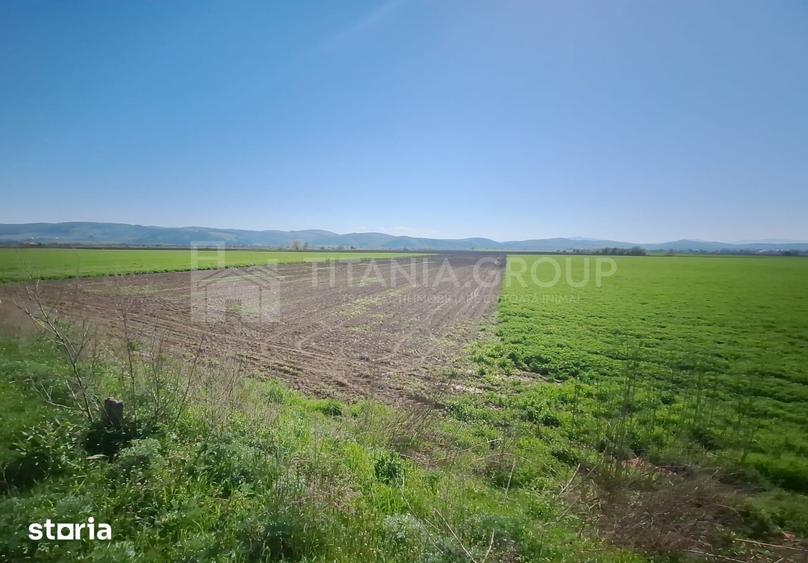 Teren de 8700 mp, în Bod