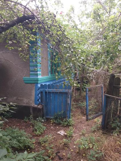 Casă cu 4 camere cu Teren 5000 Mp în Drăgănești