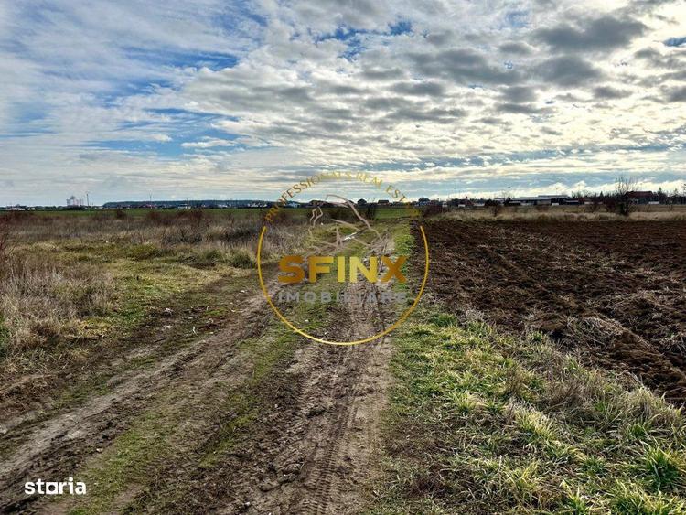 LOT de casa Tartasesti Primarie | teren cu potential - 6