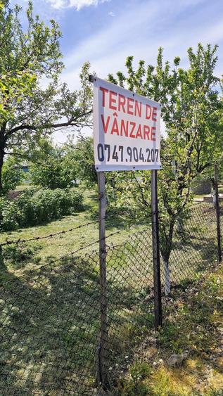 Teren de 7000 mp, în Central