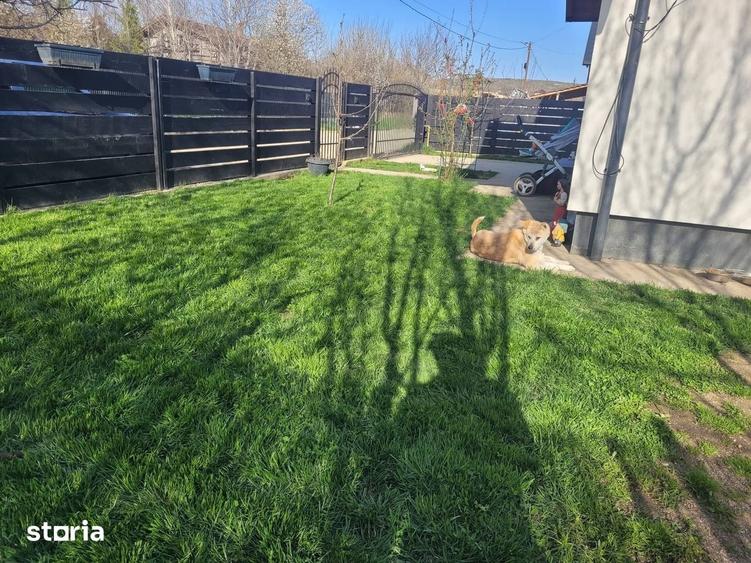 Casă cu 4 camere cu Teren 350 Mp în Dumbrava