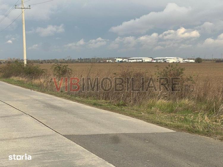Teren de 22800 mp, în Joița