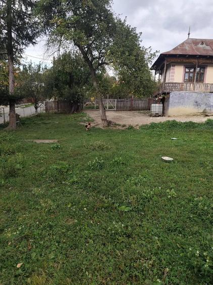 Teren de 1560 mp, în Provița de Jos