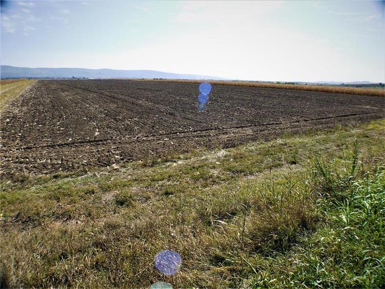 Teren intravilan de 1800 mp, în Nicolae Bălcescu