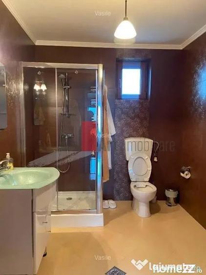 Vila Pantelimon - Padure - 5