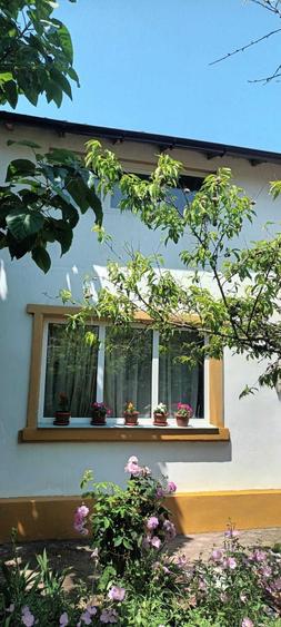 Casa de Vanzare intrare Limanu 1032mp2 cu 7 camere - 4