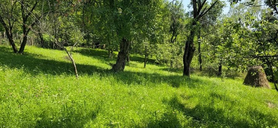 Teren de 9000 mp, în Secăria