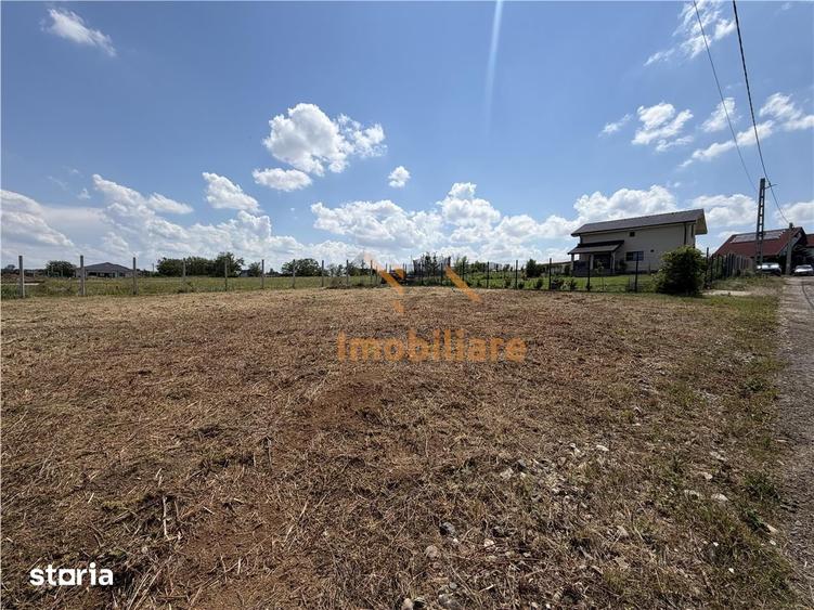 TEREN INTRAVILAN 800 MP | ZONA PALEU | BIHOR - 2