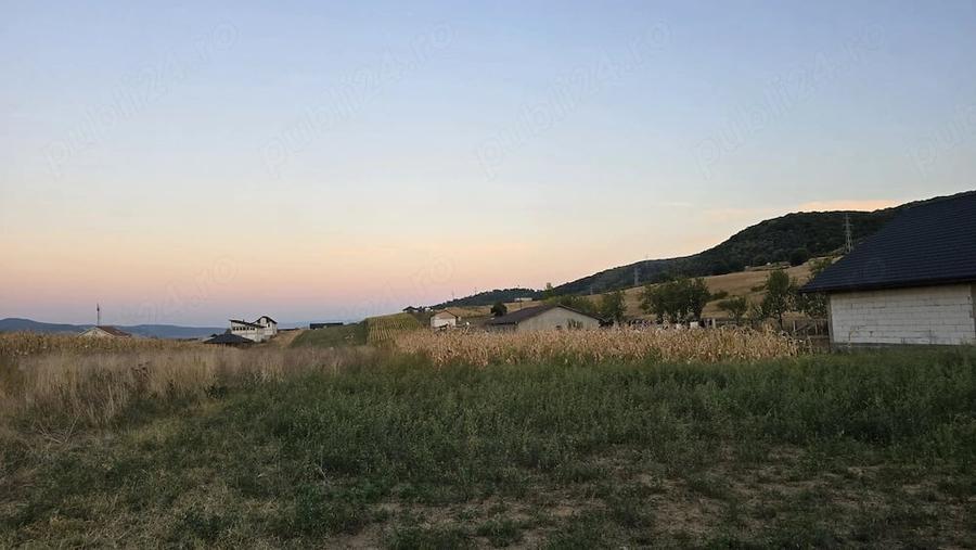 Teren de 2600 mp, în Mintia