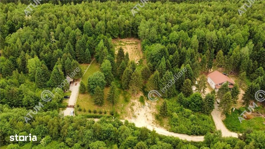Teren de 3000 mp, în Porumbacu de Jos