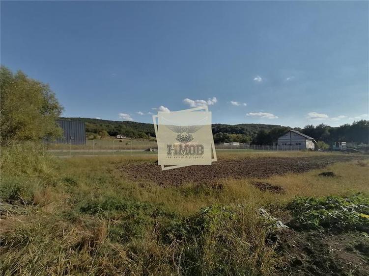 Teren Construcții intravilan de 3500 mp, în Hamba