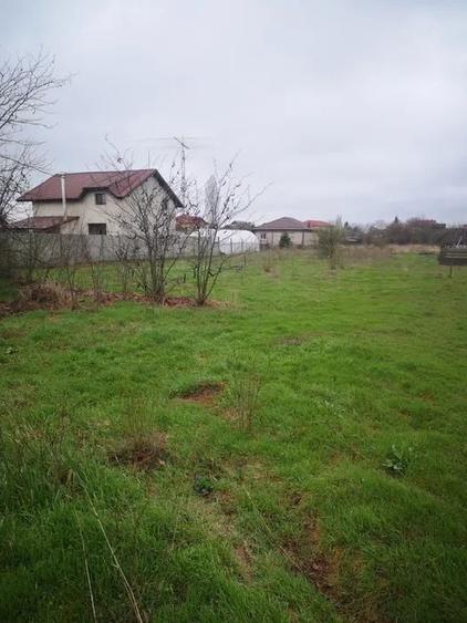 Teren Construcții intravilan de 1000 mp, în Cornetu